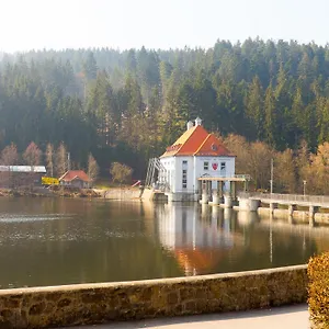 Nr 15, Typ A, Jägerpark, Bayerischer Wald Ferienhaus Viechtach